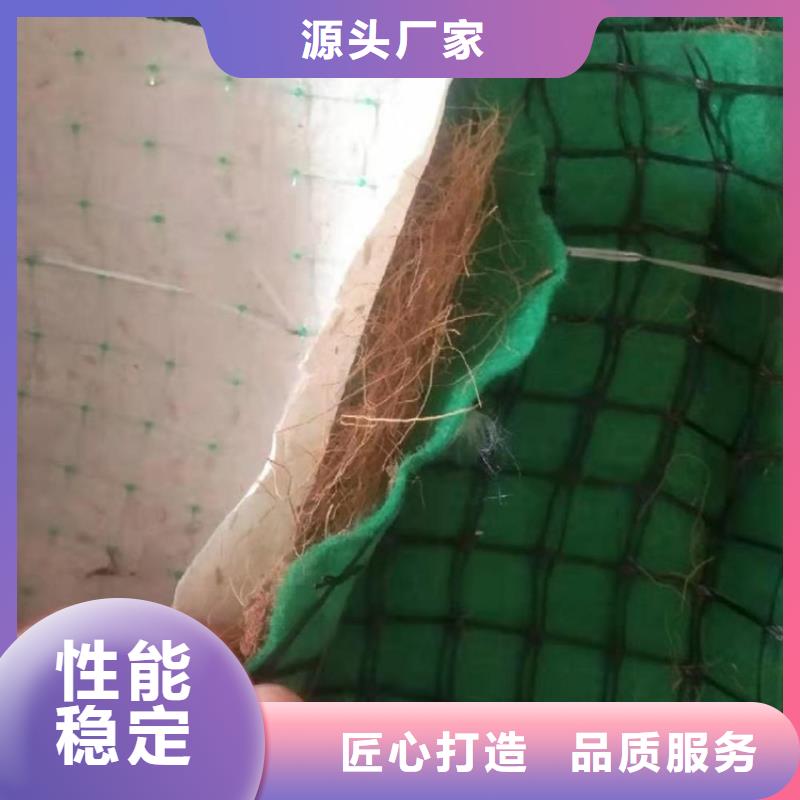 加筋植物纤维毯-铁路植生毯-加筋复合环保草毯