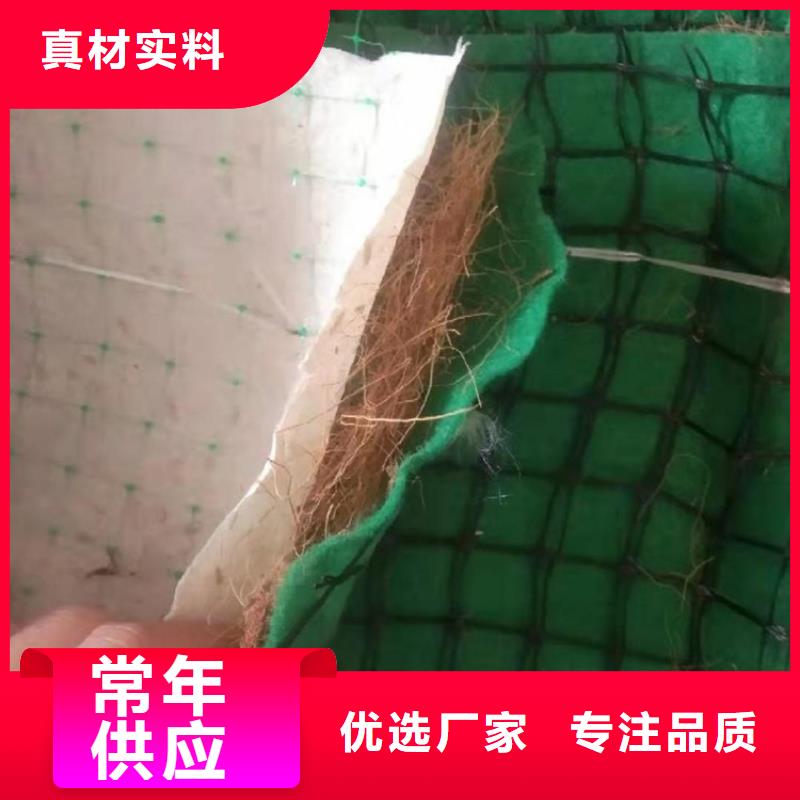 椰纤植生毯-护坡草毯