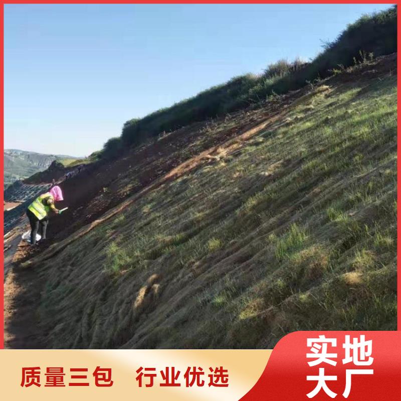 植物纤维毯-抗冲加筋生态毯