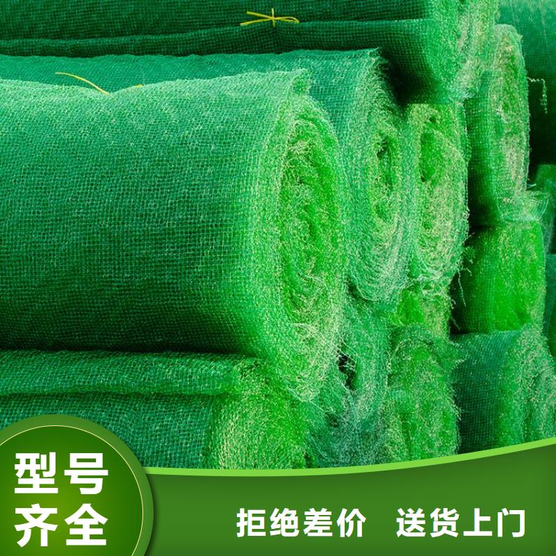 三维固土网垫EM3三维土工网垫