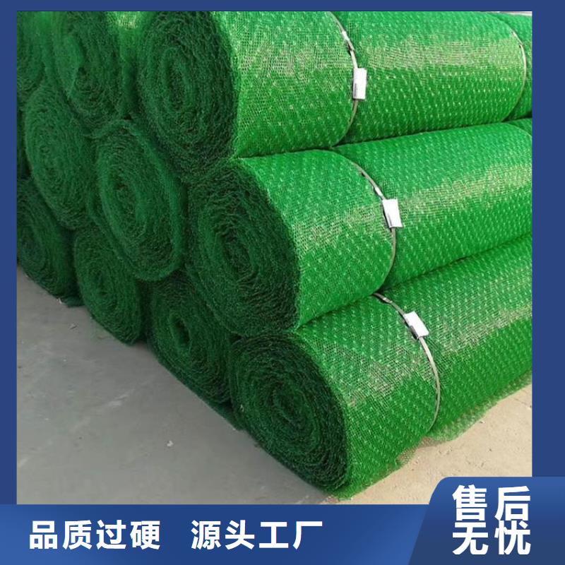 三维植被网施工范围