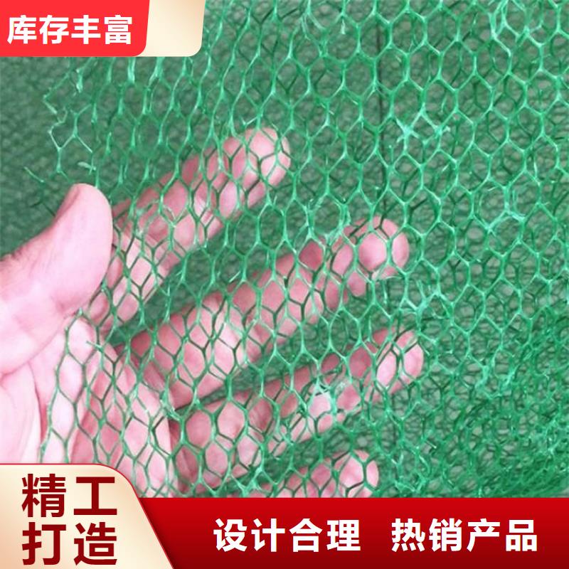三维植被网动态
