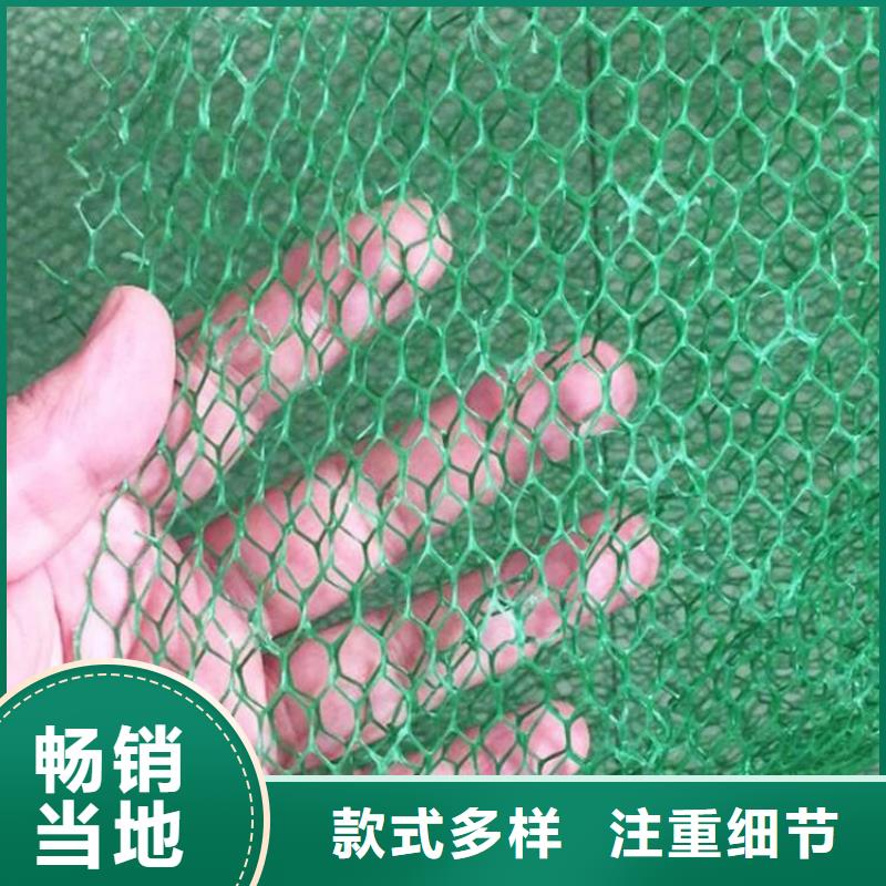 三维土工网垫-EM3三维植被网