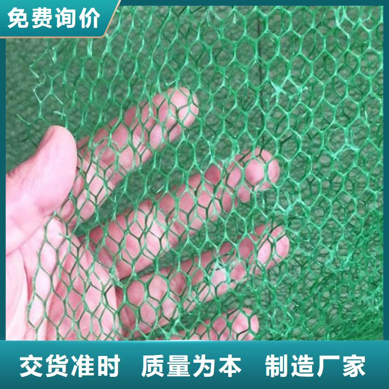 三维植草网垫环保固土