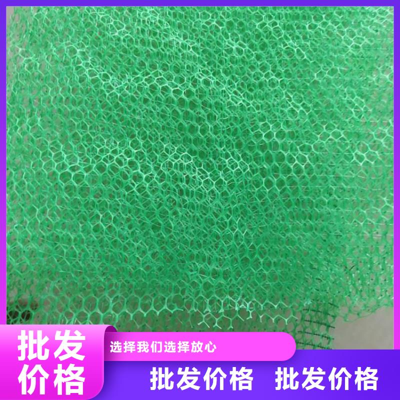 三维植被网-三维加筋网垫