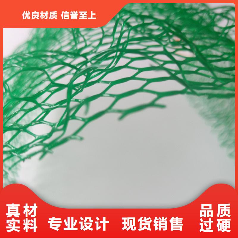 护坡固土三维土工网垫