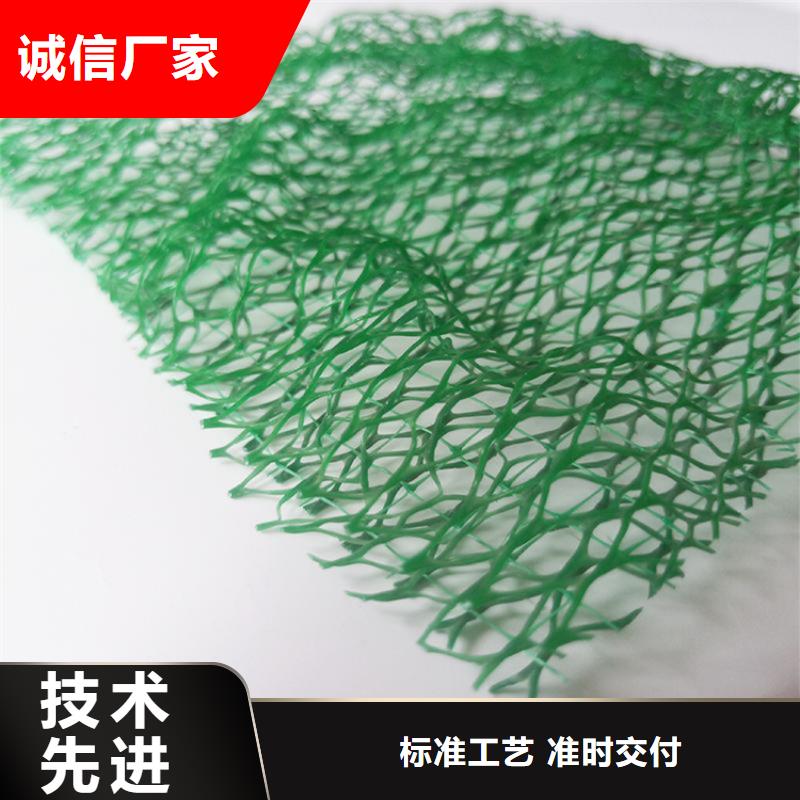 三维植被网厂家批发