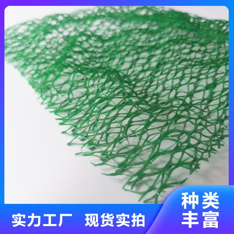 三维固土网垫固土EM3