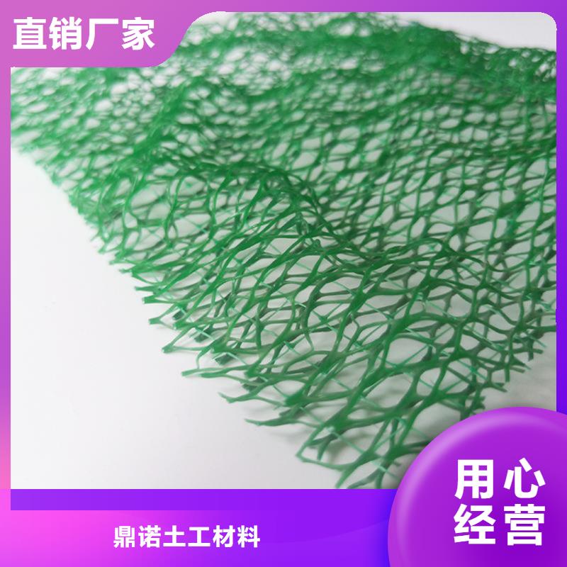 三维植被网钢塑格栅种类齐全