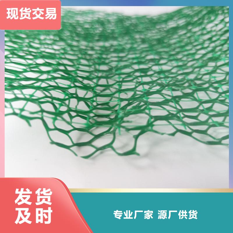 三维植被网,塑料盲沟规格齐全