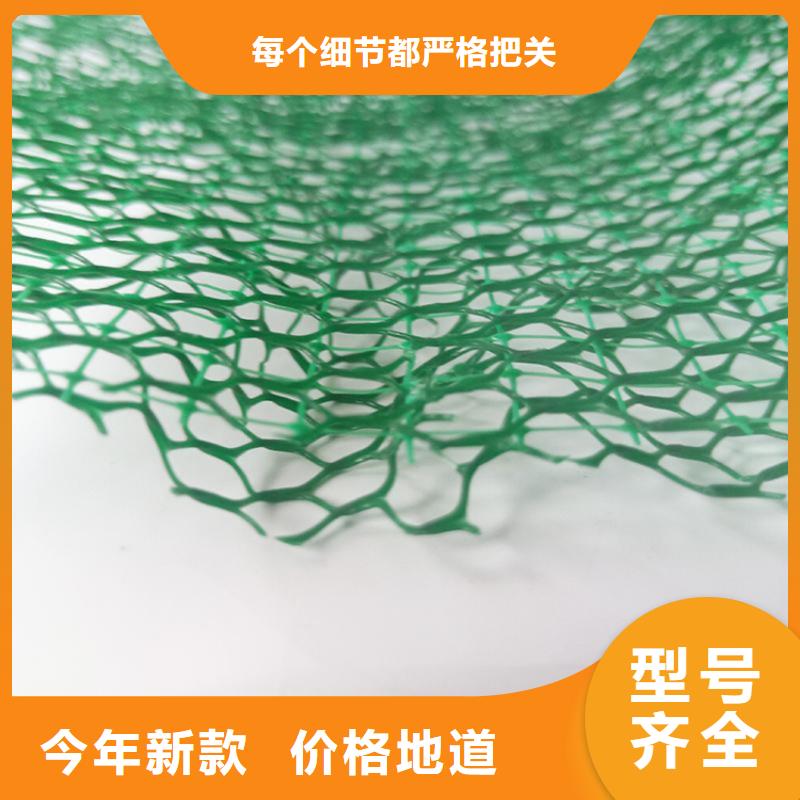 护坡EM3三维土工网垫