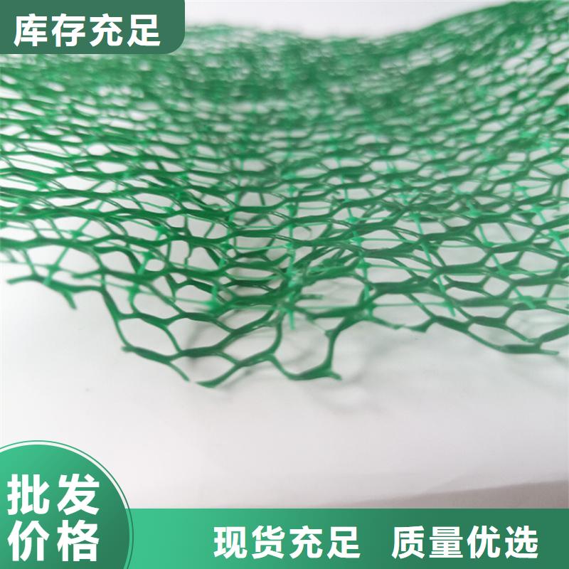 护坡固土三维土工网垫