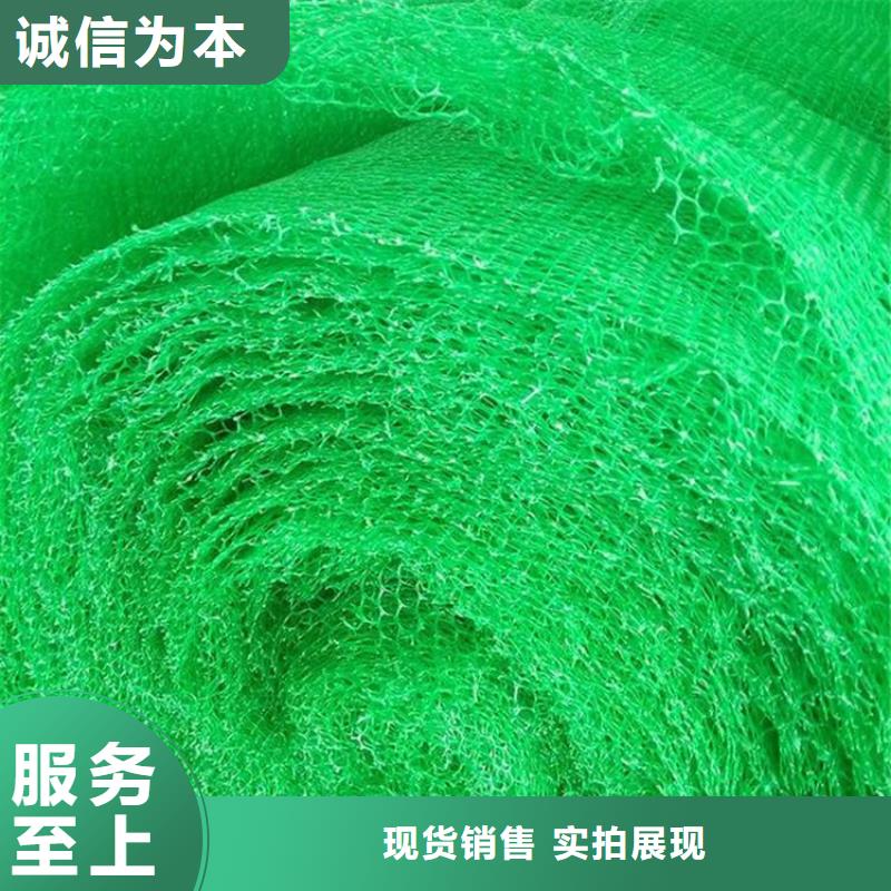 三维土工网垫EM5EM3