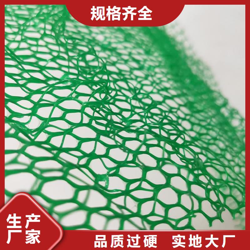 EM4三维护坡植草网垫