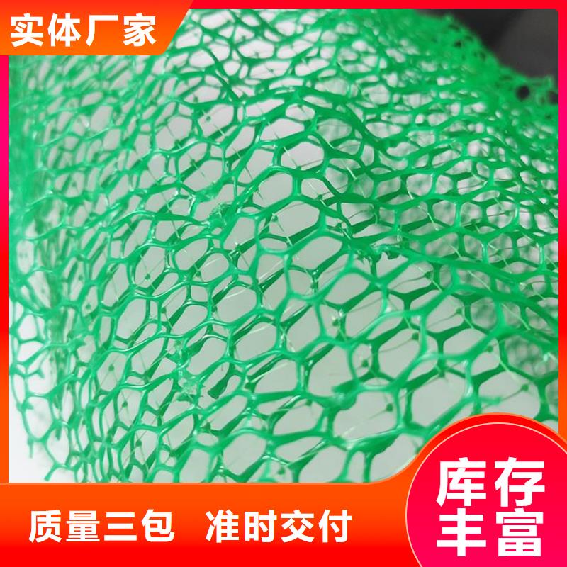 三维土工网垫护坡固土