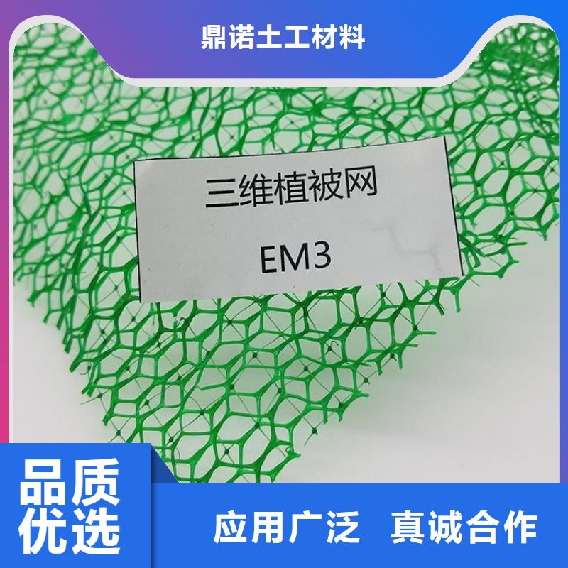 三维土工网垫护坡固土