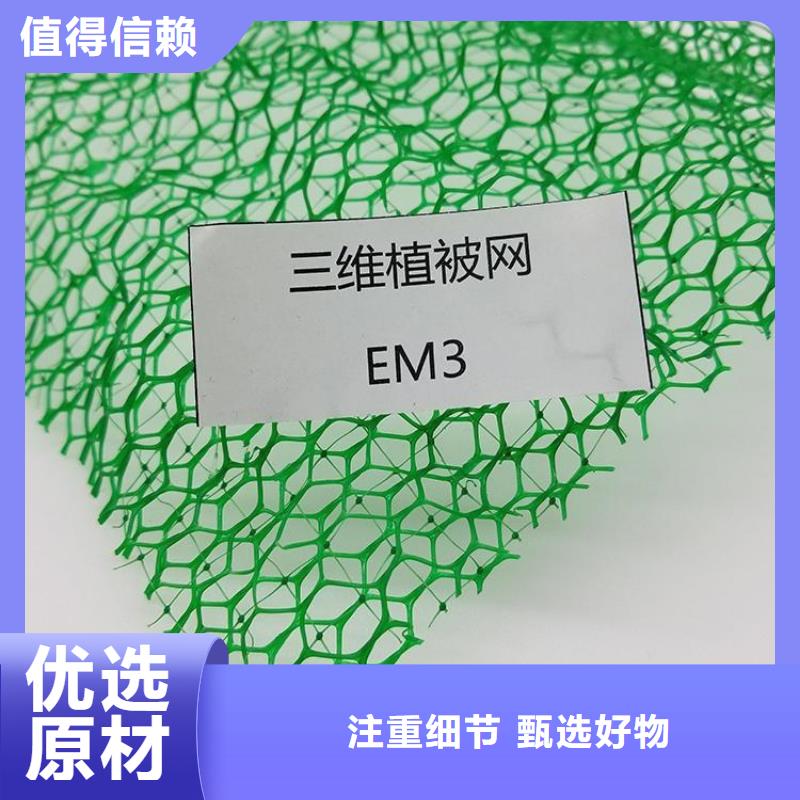 EM5三维护坡植草网垫批发商