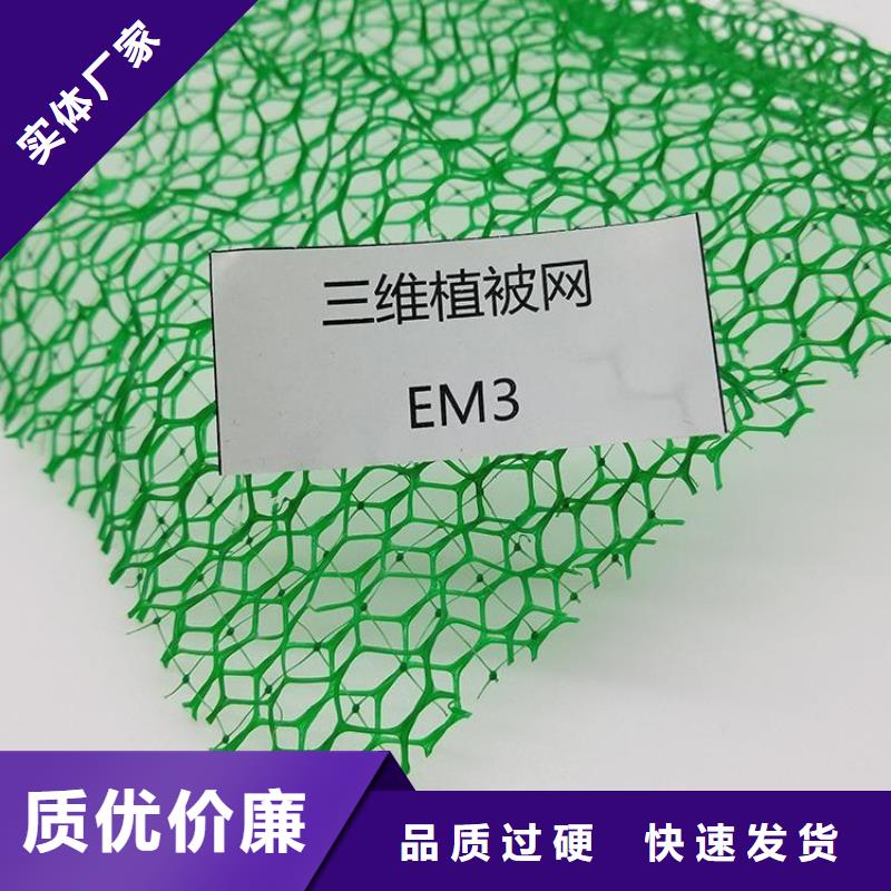 EM3三维植被网多少钱一平