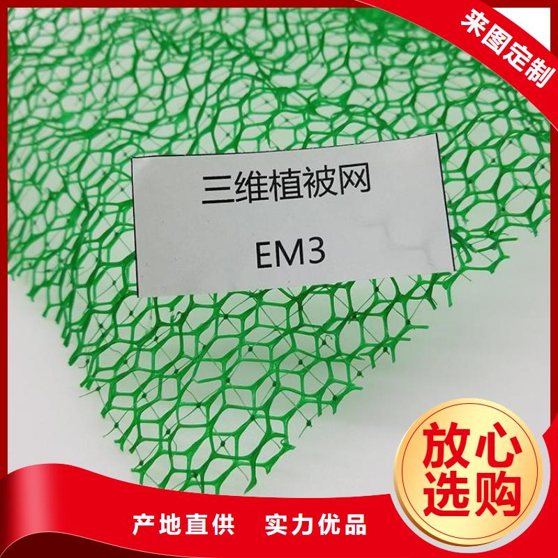 EM3三维加筋网垫