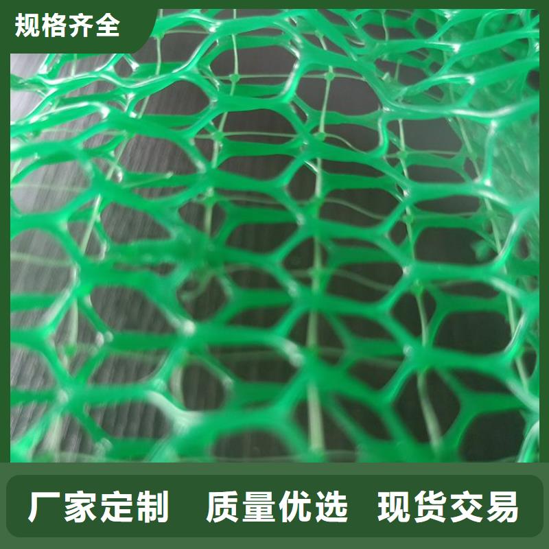 三维固土网垫EM3三维植被网
