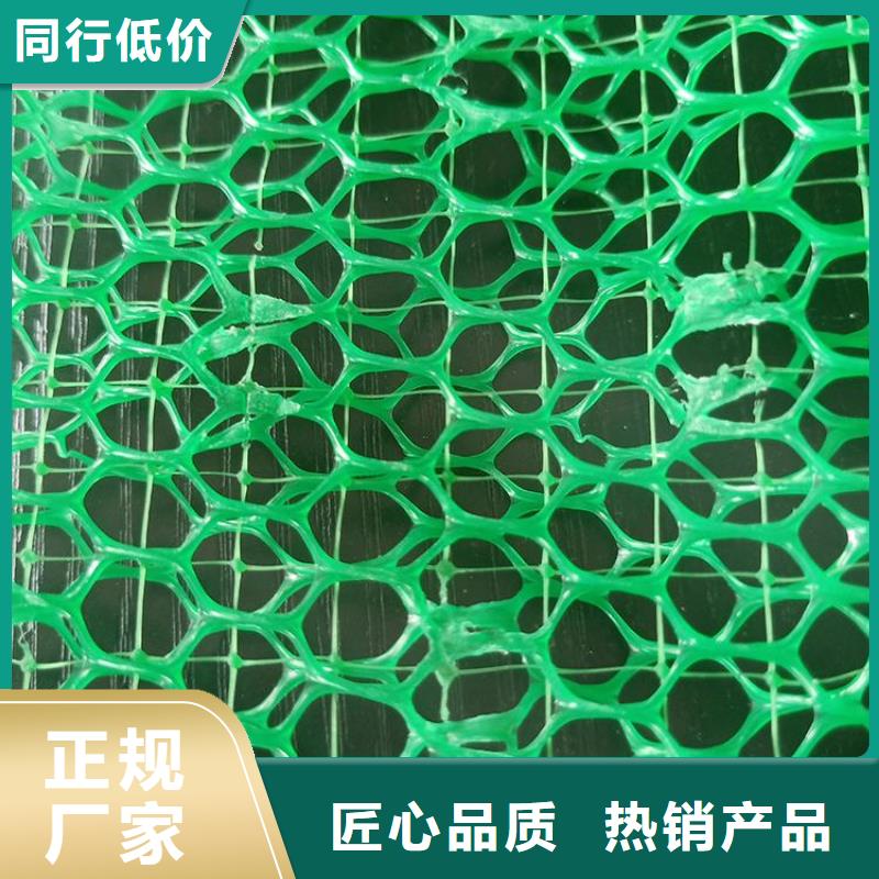 三维护坡植草网垫