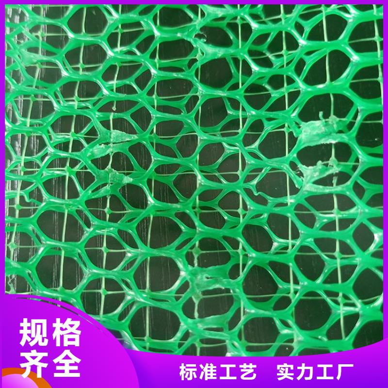 三维土工网垫护坡EM4