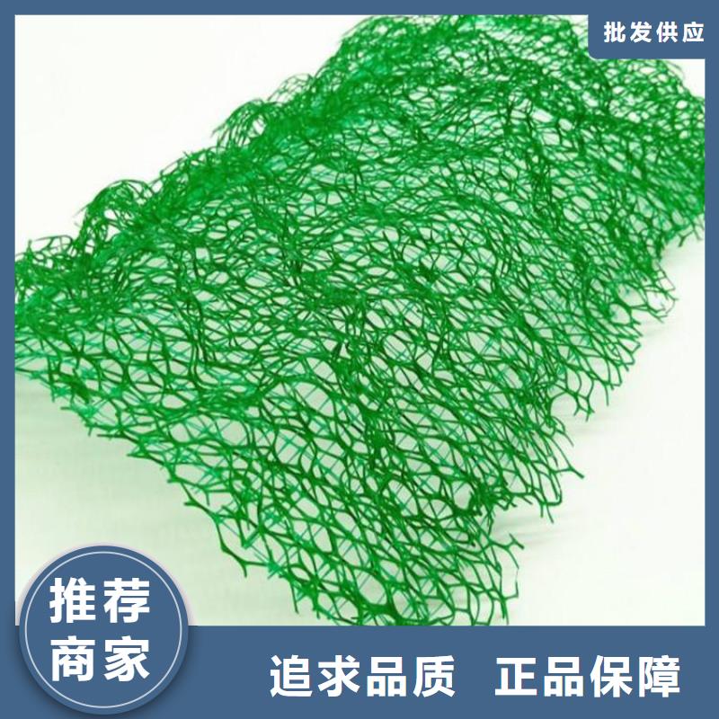 三维固土网垫三维固土网垫
