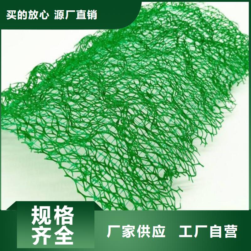 三维土工网垫厂家-本地经销