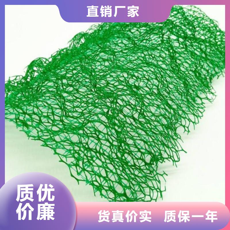 三维土工网垫批发市场