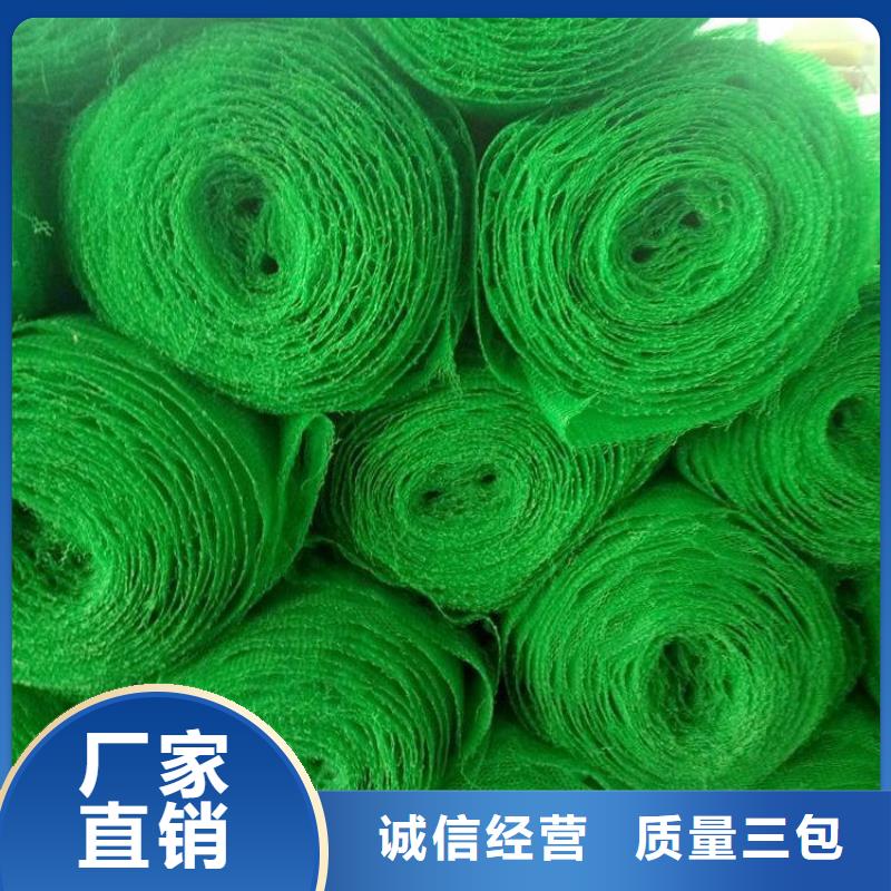 三维土工网垫-EM3三维固土网垫