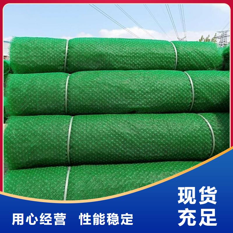 三维土工网垫防渗-渗排水