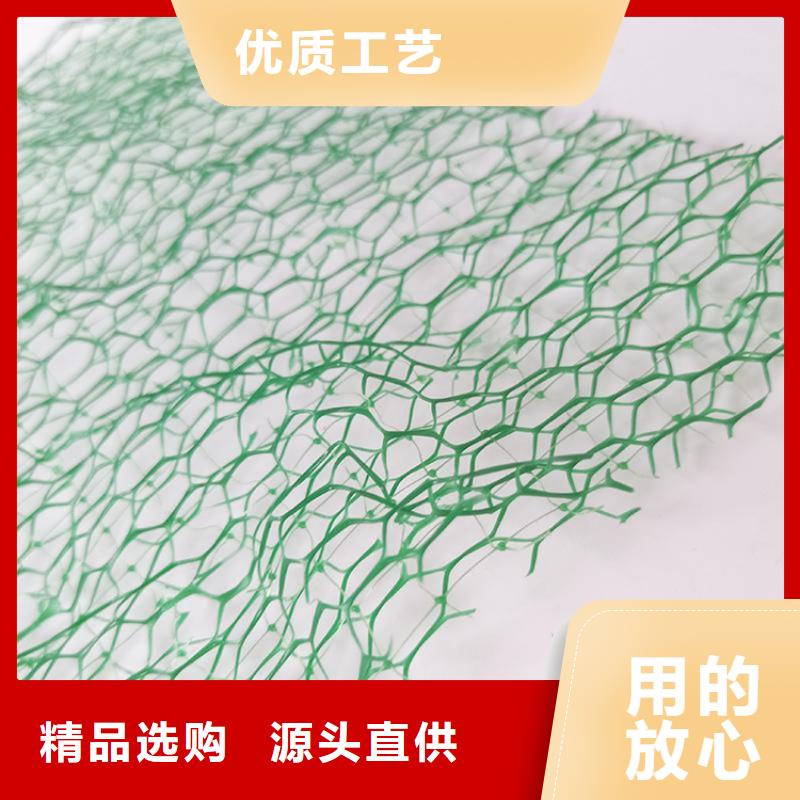 三维护坡植草网垫规范施工