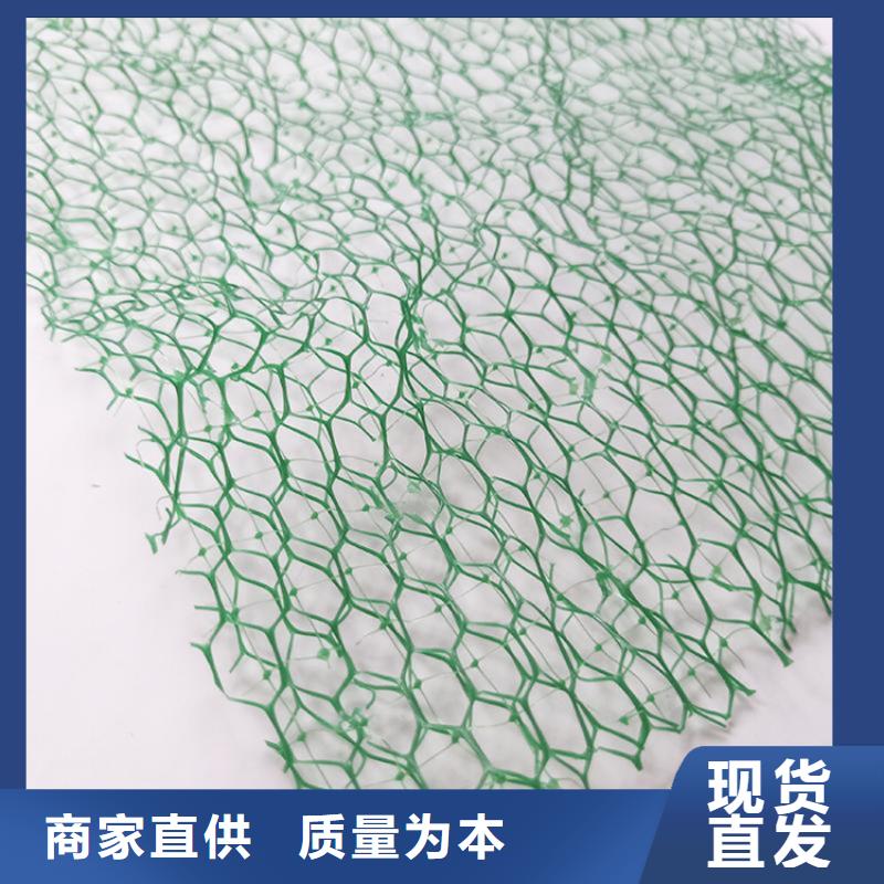 EM5三维护坡植草网垫