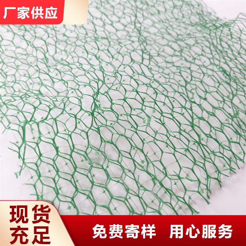 三维固土网垫购买