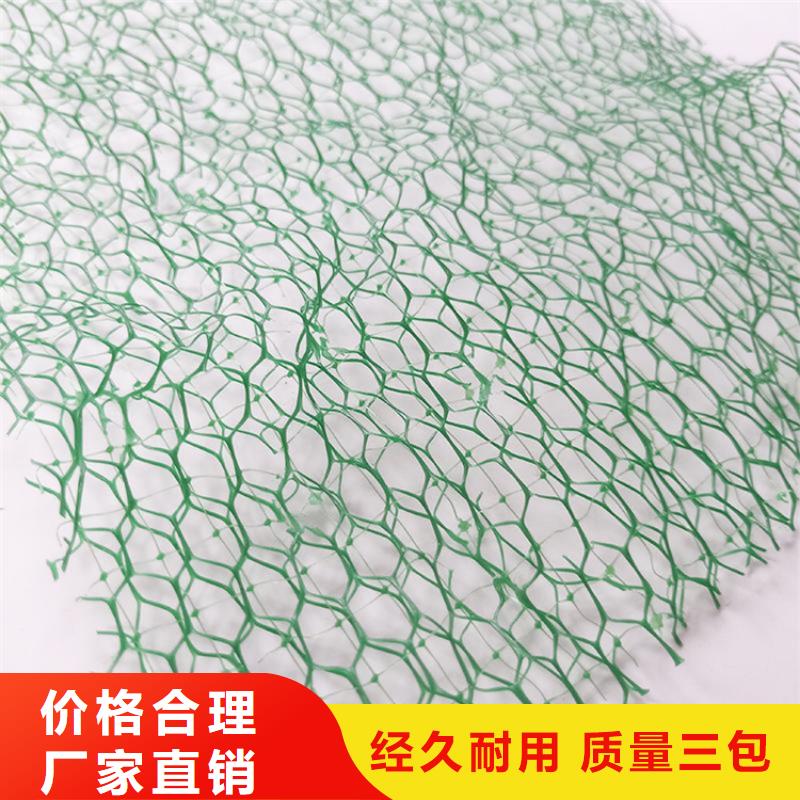 三维植被网-EM3三维加筋网垫