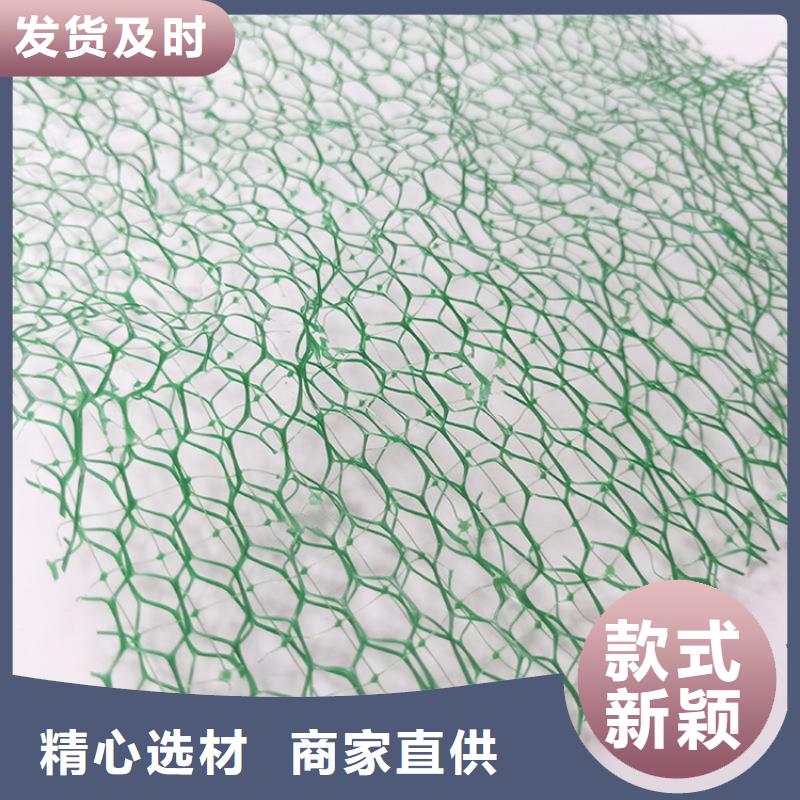 三维固土网垫三维固土网垫