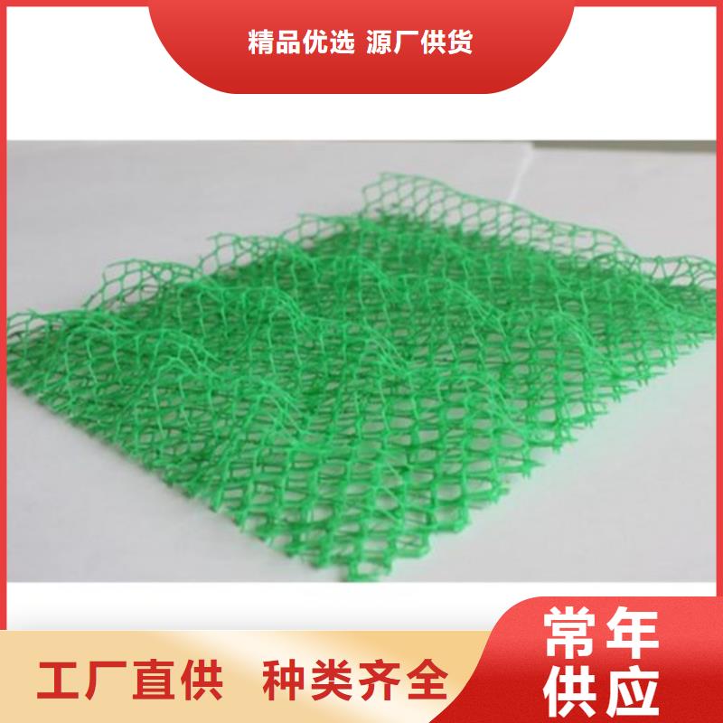 三维植被网-EM3三维土工网垫
