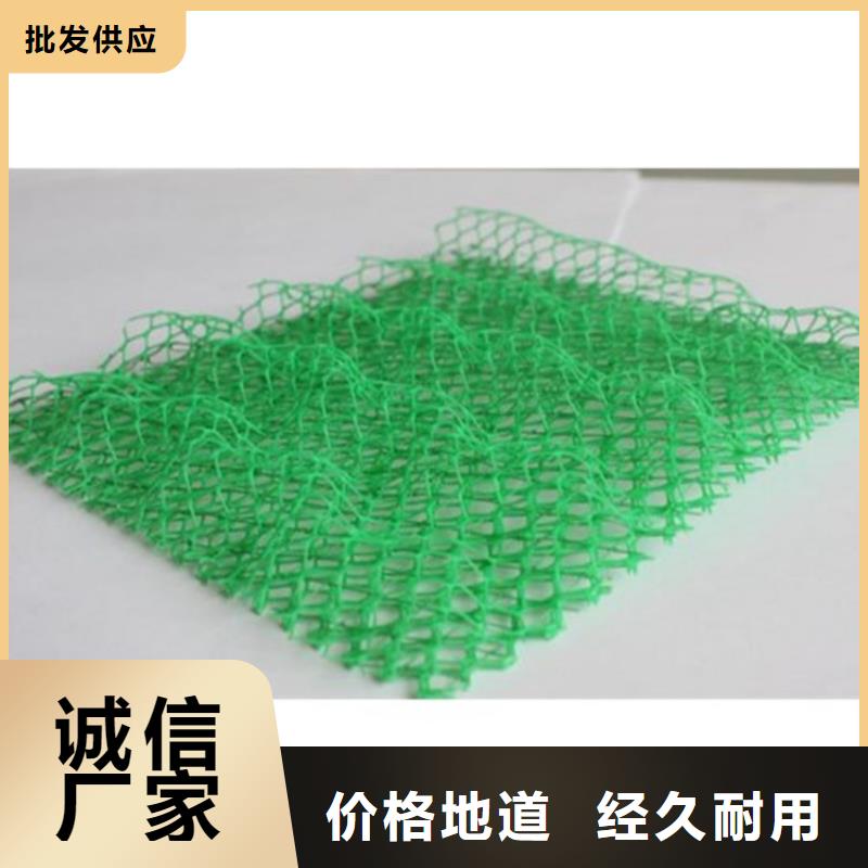 三维固土网垫EM3三维加筋网垫