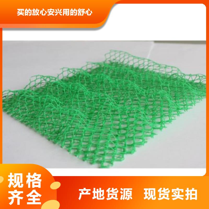 三维植被网批发经销/哪里有卖的