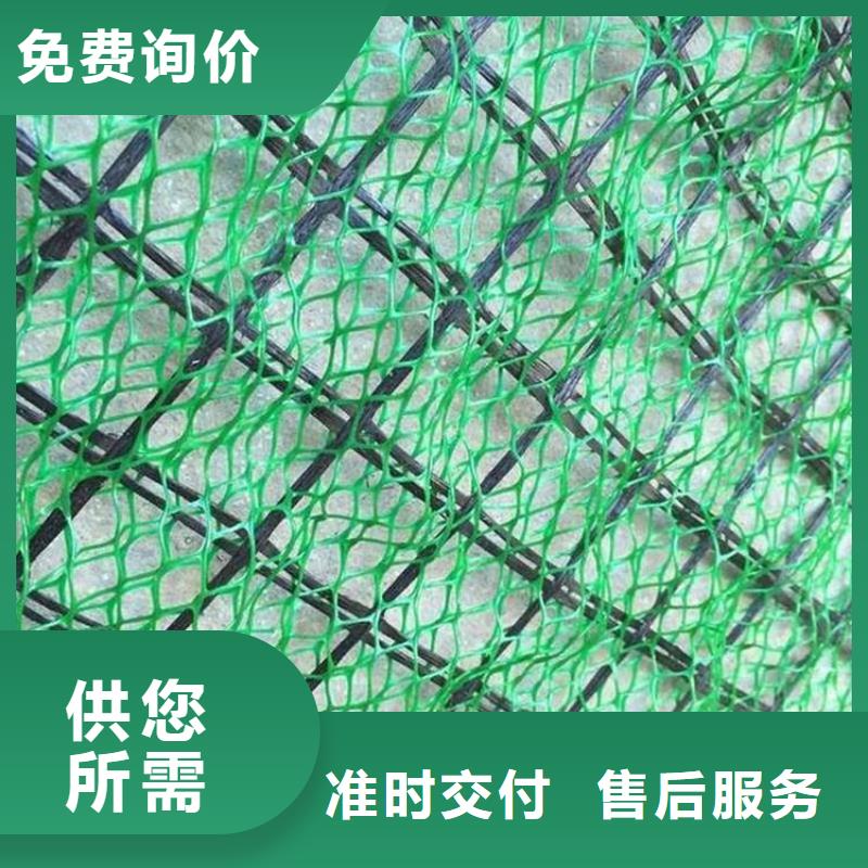 三维固土网垫购买