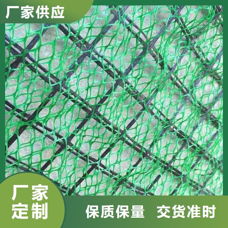 三维植被网厂家批发