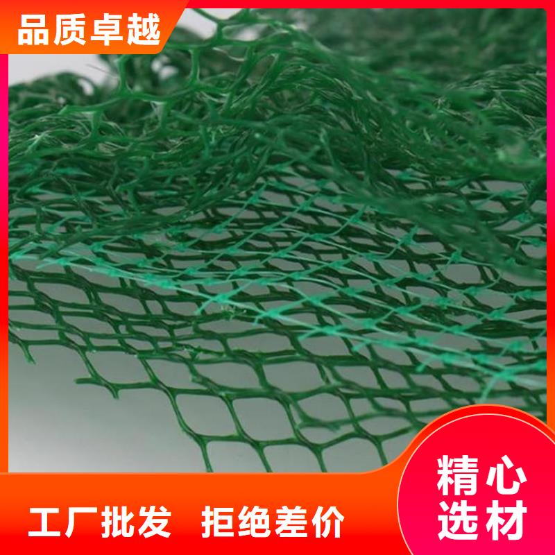 三维植被网护坡EM2