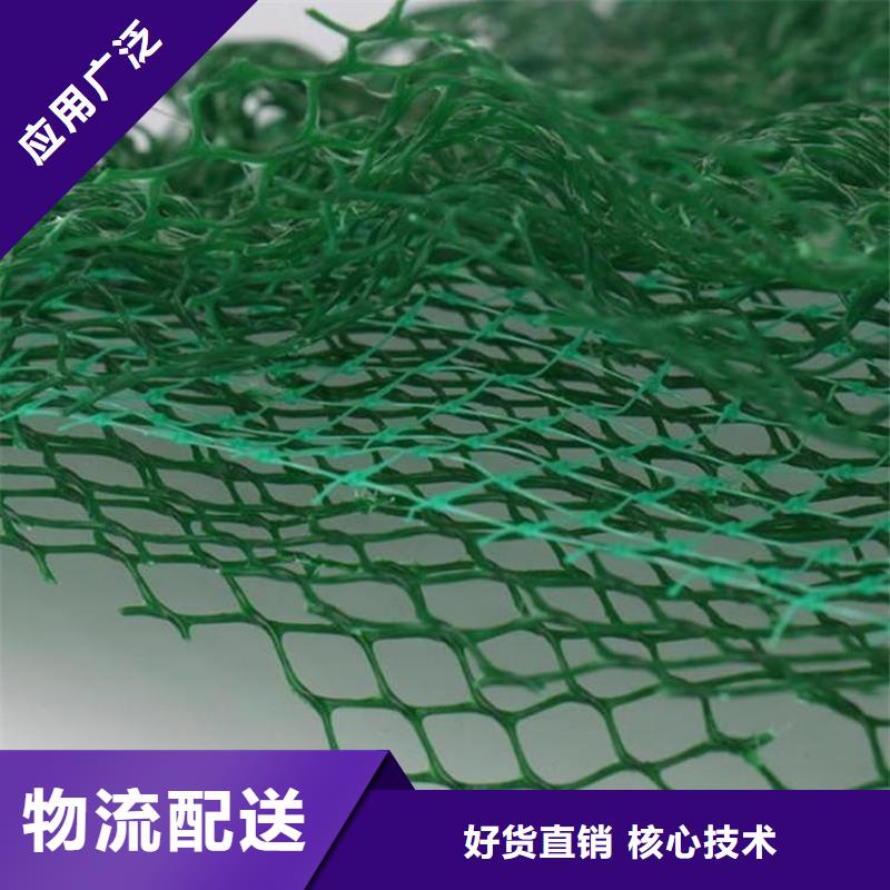 三维植被网-EM5三维护坡植草网垫
