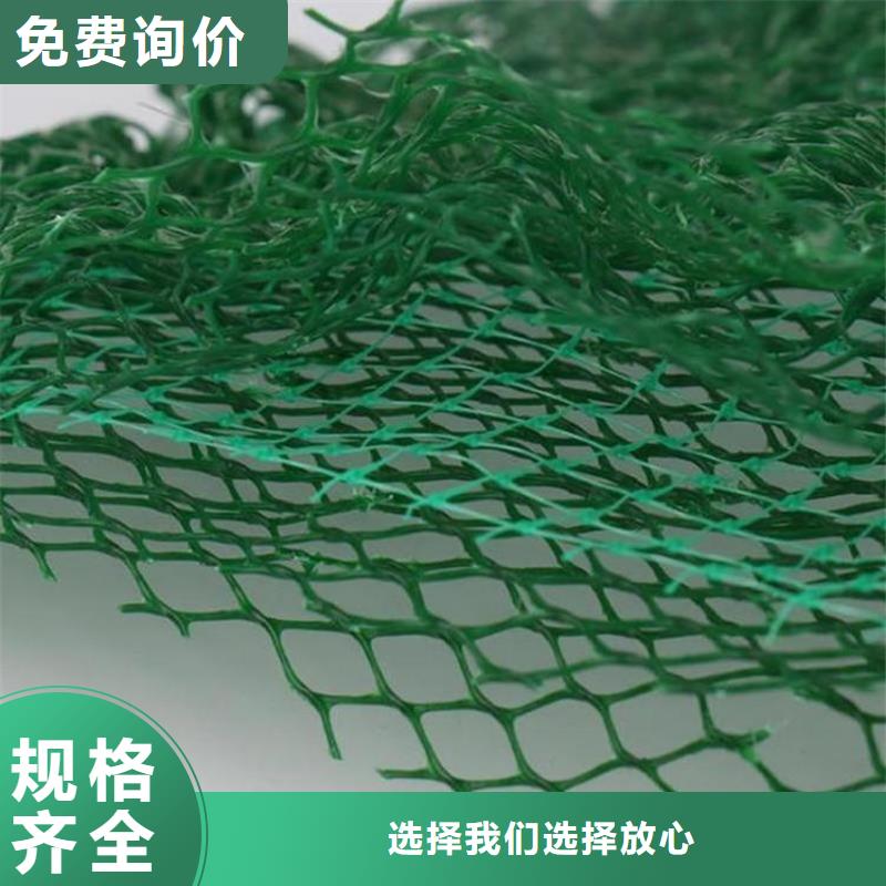 【三维植被网-网格布购买的是放心】