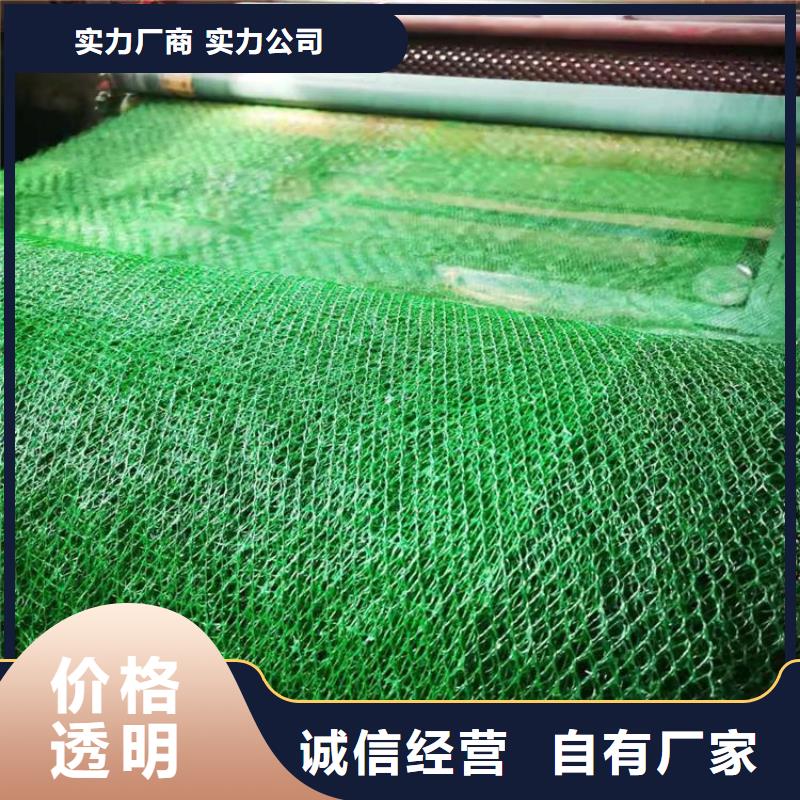 三维土工网垫-2层3层三维植被网