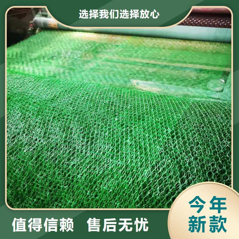 三维加筋网垫-EM2三维植被网