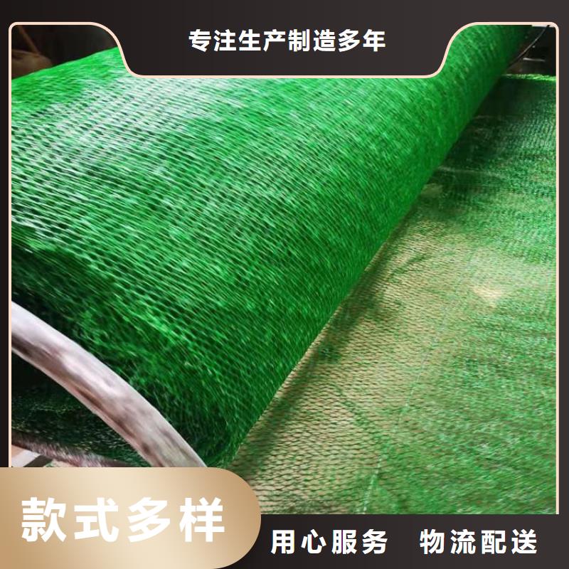 加筋边坡三维固土网垫