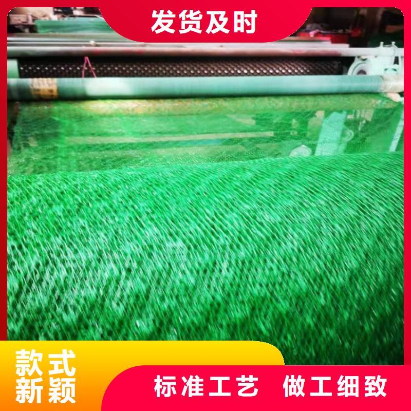 三维植被网-三维加筋网垫