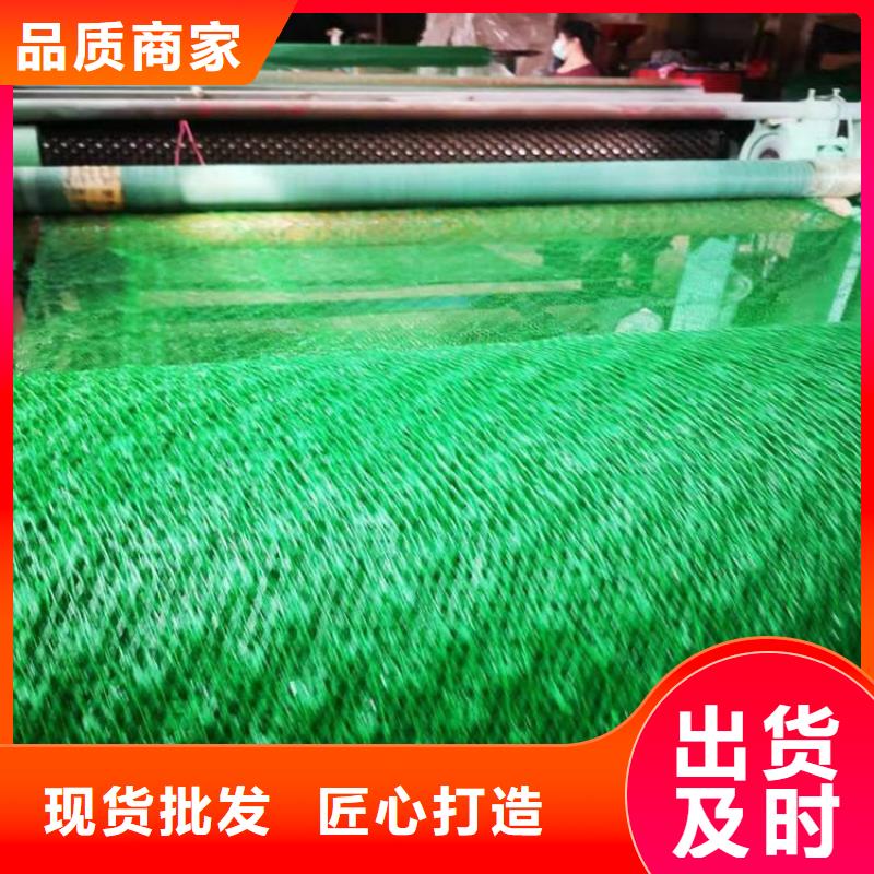 三维植被网,塑料盲沟规格齐全
