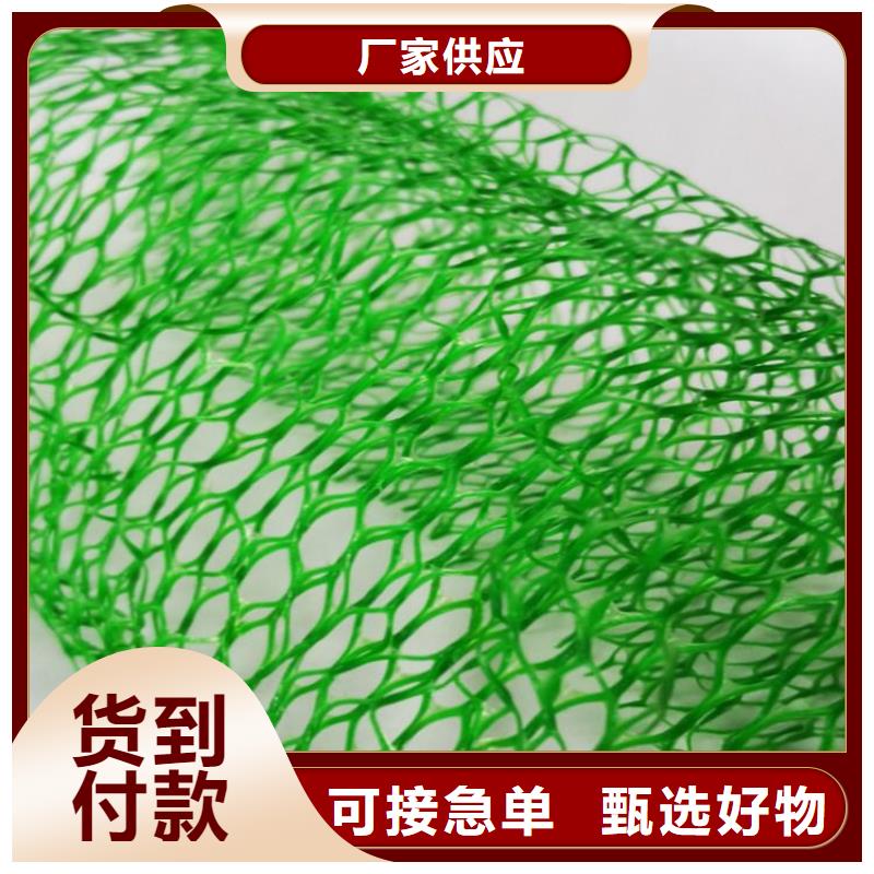 EM3三维加筋网垫厂家-公司代理